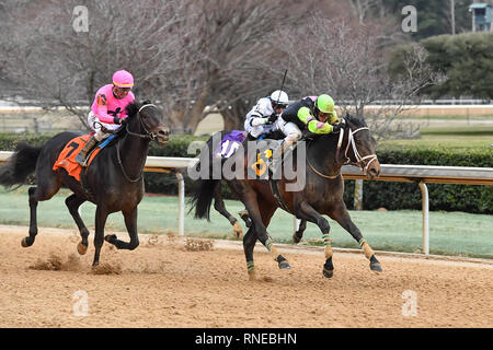 Hot Springs, Arkansas, Stati Uniti d'America. 18 Febbraio, 2019. Febbraio 18, 2019: #6 Super destriero con jockey Terry J. Thompson vince Southwest Stakes gara a Oaklawn Park il 18 febbraio 2019 in Hot Springs, Arkansas. (Foto di Ted McClenning/Eclipse Sportswire/Cal Sport Media) Credito: csm/Alamy Live News Foto Stock