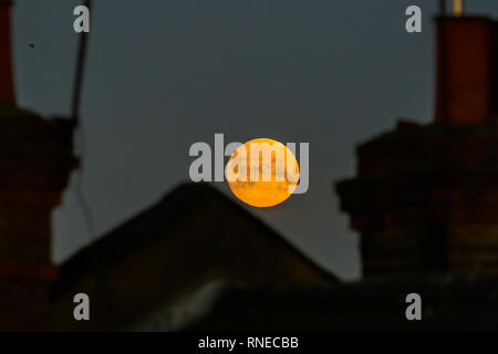 Londra, Regno Unito. 19 Feb, 2019. Super Luna tramonta nel nord di Londra. Credito: Dinendra Haria/Alamy Live News Foto Stock