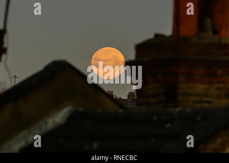 Londra, Regno Unito. 19 Feb, 2019. Super Luna tramonta nel nord di Londra. Credito: Dinendra Haria/Alamy Live News Foto Stock