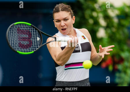 Dubai, EAU. 19 Feb, 2019. Simona Halep di Romania gioca un colpo nel secondo round del match contro Eugenie Bouchard del Canada durante il Dubai Duty Free campionato di tennis presso il Dubai International Tennis Stadium, Dubai, UAE il 19 febbraio 2019. Foto di concedere l'inverno. Credit: UK Sports Pics Ltd/Alamy Live News Foto Stock