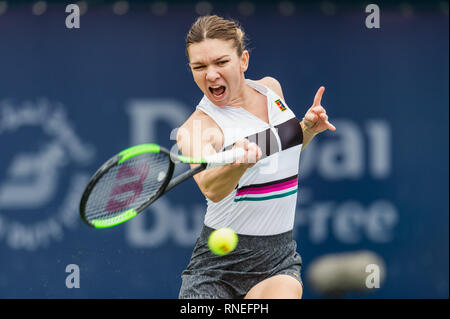 Dubai, EAU. 19 Feb, 2019. Simona Halep di Romania svolge un diretti shot nel secondo round del match contro Eugenie Bouchard del Canada durante il Dubai Duty Free campionato di tennis presso il Dubai International Tennis Stadium, Dubai, UAE il 19 febbraio 2019. Foto di concedere l'inverno. Credit: UK Sports Pics Ltd/Alamy Live News Foto Stock