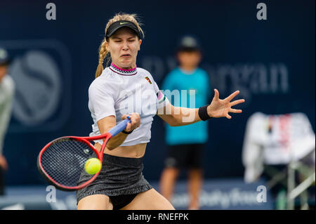 Dubai, EAU. 19 Feb, 2019. Eugenie Bouchard del Canada svolge un diretti shot nel secondo round del match contro Simona Halep della Romania durante il Dubai Duty Free campionato di tennis presso il Dubai International Tennis Stadium, Dubai, UAE il 19 febbraio 2019. Foto di concedere l'inverno. Credit: UK Sports Pics Ltd/Alamy Live News Foto Stock