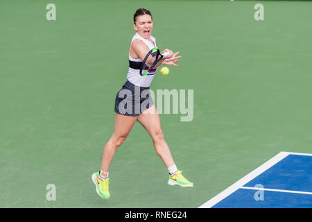 Dubai, EAU. 19 Feb, 2019. Simona Halep di Romania gioca un colpo nel secondo round del match contro Eugenie Bouchard del Canada durante il Dubai Duty Free campionato di tennis presso il Dubai International Tennis Stadium, Dubai, UAE il 19 febbraio 2019. Foto di concedere l'inverno. Credit: UK Sports Pics Ltd/Alamy Live News Foto Stock