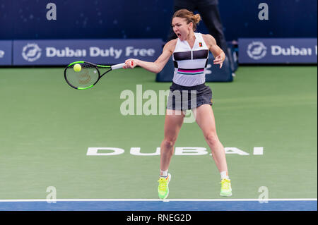 Dubai, EAU. 19 Feb, 2019. Simona Halep di Romania gioca un colpo nel secondo round del match contro Eugenie Bouchard del Canada durante il Dubai Duty Free campionato di tennis presso il Dubai International Tennis Stadium, Dubai, UAE il 19 febbraio 2019. Foto di concedere l'inverno. Credit: UK Sports Pics Ltd/Alamy Live News Foto Stock