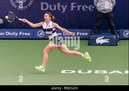 Dubai, EAU. 19 Feb, 2019. Simona Halep di Romania svolge un diretti shot nel secondo round del match contro Eugenie Bouchard del Canada durante il Dubai Duty Free campionato di tennis presso il Dubai International Tennis Stadium, Dubai, UAE il 19 febbraio 2019. Foto di concedere l'inverno. Credit: UK Sports Pics Ltd/Alamy Live News Foto Stock