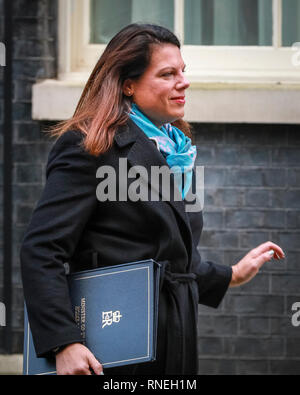 Westminster, Londra, Regno Unito, 19 feb 2019. Caroline Nokes, Ministro di Stato per l'immigrazione. Ministri lasciare la riunione a Downing Street. Credito: Imageplotter/Alamy Live News Foto Stock