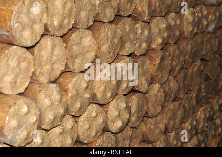 Close-up di una pila di biomassa di legno bricchette sigillati con materiale plastico Foto Stock