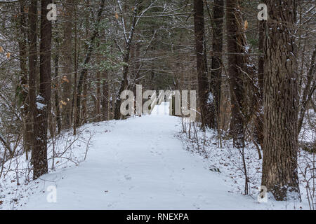 Coperta di neve scalinata (passeggiata) a Starved Rock State Park su un amaramente inverni freddi giorno. Foto Stock