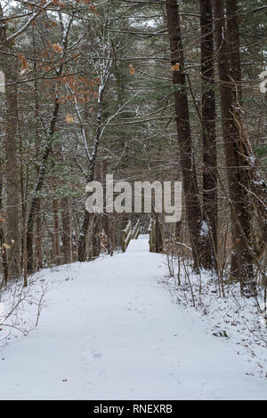 Coperta di neve scalinata (passeggiata) a Starved Rock State Park su un amaramente inverni freddi giorno. Foto Stock