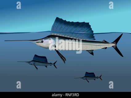 Tre marlins nell'oceano blu Illustrazione Vettoriale