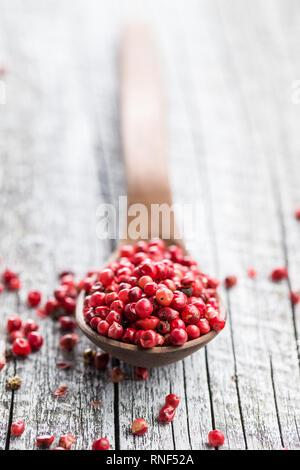 Essiccato peppe rosa in cucchiaio. Foto Stock