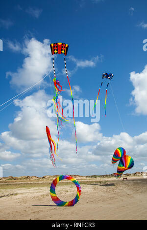 Stunt Kites sulla spiaggia dell'isola di Roemoe, Juetland, Danimarca Foto Stock