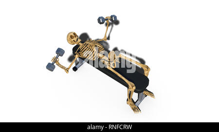 Lo scheletro di divertenti sollevamento pesi sul banco, scheletro umano esercitando su sfondo bianco, rendering 3D Foto Stock