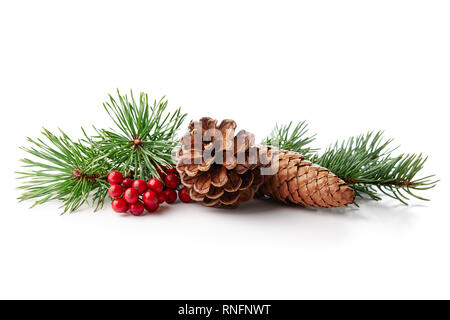 Decorazione di natale di holly berry e cono di pino su sfondo bianco. Foto Stock