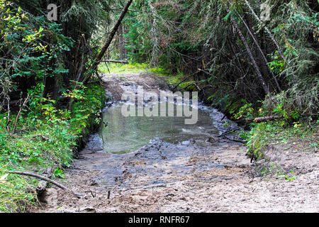 Una porzione di un atv trail andando attraverso acqua e fango Foto Stock