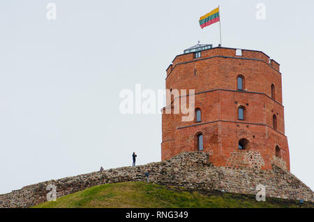 Gediminas' Torre o Castello, la parte restante del castello superiore a Vilnius, in Lituania con bandiera lituana sventolare su una verde collina e tourist Foto Stock