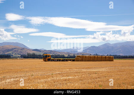 Sheffield, Canterbury, Nuova Zelanda, febbraio 48 2019: un lungo giallo Hawkins transporter carrello pronto al carrello fieno impilati in un campo di fattoria Foto Stock