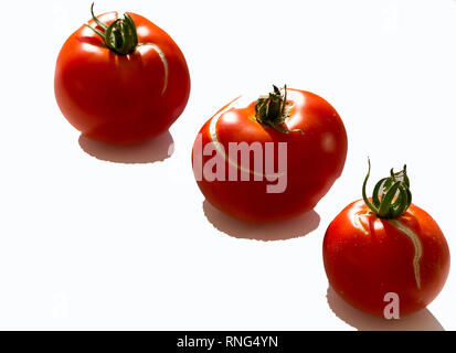3 pomodori rossi su sfondo bianco Foto Stock