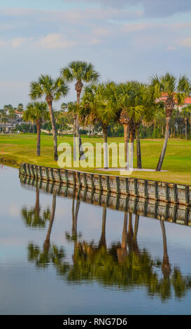 Palme sul lago Vedra. Ponte Vedra Beach, Florida Foto Stock