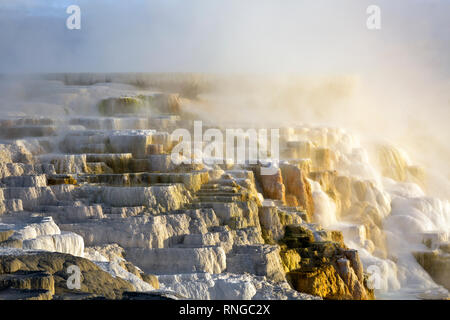 WY03807-00...WYOMING - sole di mattina di toccare le molle delle Canarie in una fredda giornata a Mammoth Hot Springs nel Parco Nazionale di Yellowstone. Foto Stock