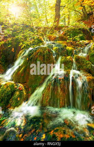 Belle cascate del parco nazionale dei laghi di Plitvice in foresta sulla soleggiata giornata autunnale, Croazia Foto Stock