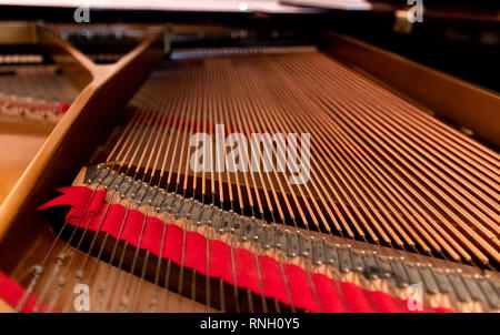 Interno di un pianoforte a coda, pianoforte arpa visto dall'interno Foto Stock