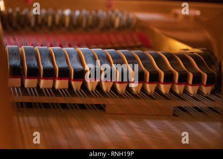 Bellissimo pianoforte interno, smorzatori di pianoforte, stringhe e arpa Foto Stock