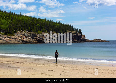 Parco Nazionale di Acadia, Maine, Stati Uniti d'America. Un turista in piedi su una spiaggia di sabbia guarda al sentiero escursionistico in zone montuose foresta di pini e scoscese rupi costiere. Foto Stock