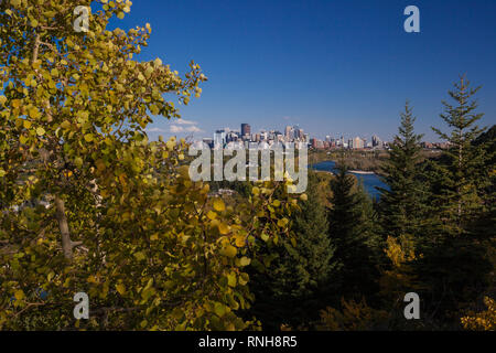 Calgary, città di Calgary, Alberta, Canada Foto Stock
