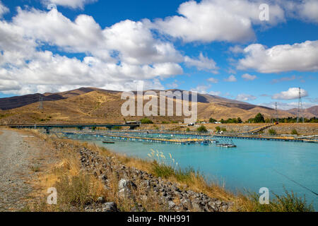 Un allevamento di salmoni in uno dei canali nella periferia di Twizel, Waitaki Valley, Nuova Zelanda Foto Stock