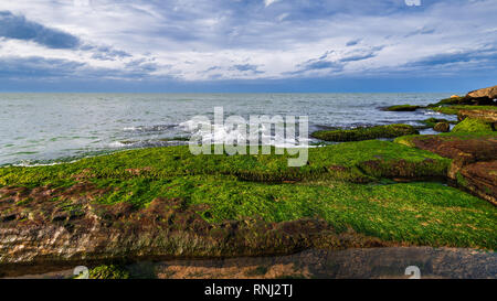 Colori del mare a riva con le alghe verdi Foto Stock