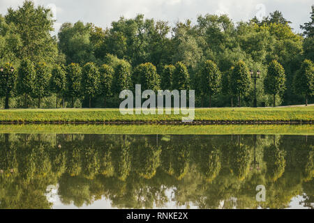 Bellissimo paesaggio a molla con salici piangenti e betulla alberi riflettendo sulla superficie dell'acqua e illuminate dal sole luminoso Foto Stock