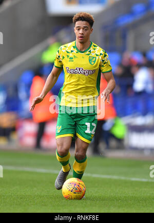 Jamal Lewis, Norwich City Foto Stock