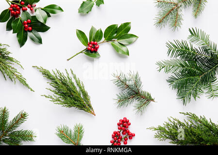 Raccolta di Natale decorativo piante con foglie verdi e holly bacche. Foto Stock