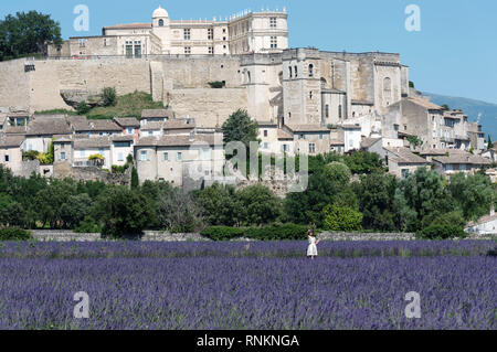 Turisti cinesi in un campo di lavanda in Grignan.Caption locale *** Foto Stock