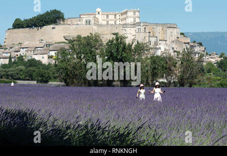 I turisti cinesi in un campo di lavanda in Grignan.Caption locale *** Foto Stock