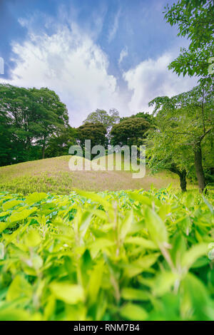 Giapponese di stallo Hasuike riempito con Lotus di Koishikawa Korakuen Park a Tokyo. Le due colline in background sono un' evocazione della montagna. È Foto Stock