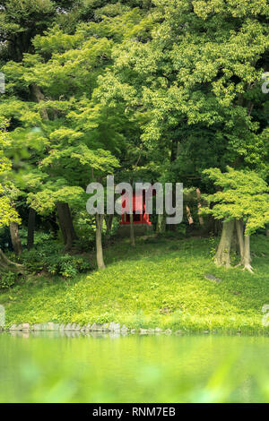 Piccolo Santuario rosso cinabro lo Shintoismo si trova sul lago Osensui isolotto di Koishikawa Korakuen Park in Bunkyo Ward, Tokyo. Questa piccola, ricca di foreste è Foto Stock