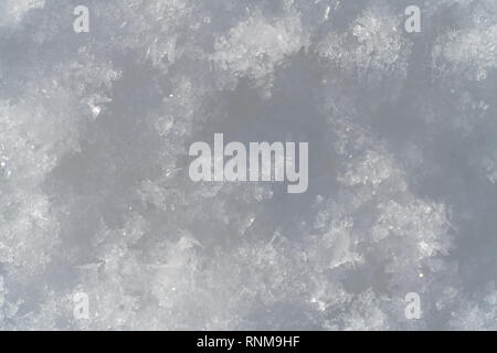 I fiocchi di neve Close Up abstract in una giornata di sole Foto Stock