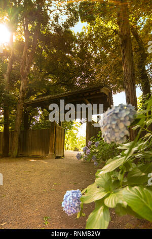 Giardino Rikugien la porta per interni in Tokyo in legno e piastrelle di stile molto semplice che riflette il modo di vita dei guerrieri che crea questo giardino Foto Stock