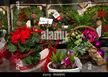 Regno Unito, Inghilterra, Lancashire, Ramsbottom, Bridge Street, Natale display floreale al di fuori del negozio di fiori finestra Foto Stock