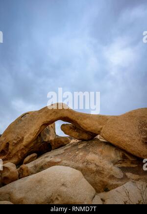 Arch Rock, rock Arco, Monzogranite Formazione, Arch Rock Sentiero Natura, Vasca bianca campeggio, Joshua Tree National Park Foto Stock