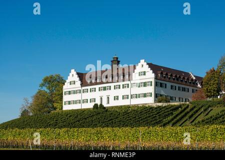 Hersberg Castello con vigneto, Immenstaad, Lago di Costanza, Baden-Württemberg, Germania, Europa Foto Stock