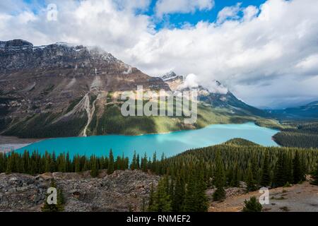 Nuvole appesi in picchi di montagna, turchese lago glaciale circondata da una foresta, il Lago Peyto Montagne Rocciose, il Parco Nazionale di Banff, provincia di Alberta, può Foto Stock