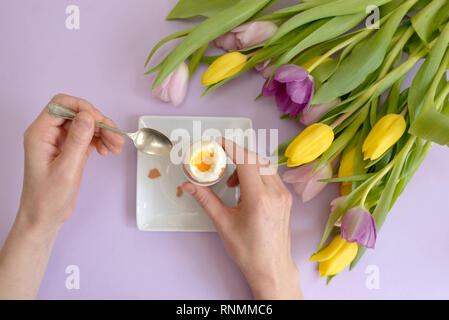 Con le mani sulle uova sode e tulipani a molla Foto Stock