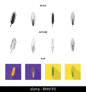 Molla,l'orzo,spike,frumento,l'inverno,farina,seme,l'orecchio,crusca,crop,cereali,mature,cibo,verde,l'oro,l'agricoltura,agricoltura,segala,impianto,frumento, mais,grano raccolto,,agriturismo,campo,impostare,vettore,icona,immagine,isolato,raccolta,design,l'elemento,graphic,segno, Vettori vettore , Illustrazione Vettoriale