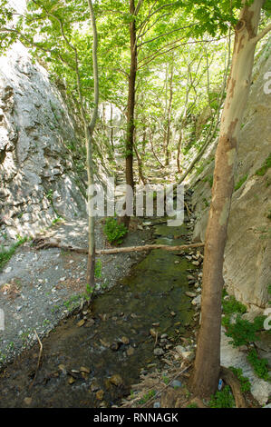 Affluente del fiume Vardar che passa attraverso il cancello di ferro mountain gorge, Demir Kapija, il cancello di ferro, Macedonia Foto Stock