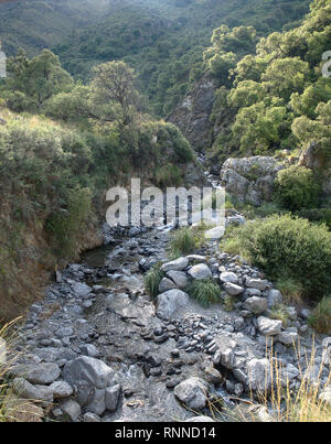 La vista a Reserva riserva Florofaunistica in Merlo, San Luis, Argentina. Foto Stock