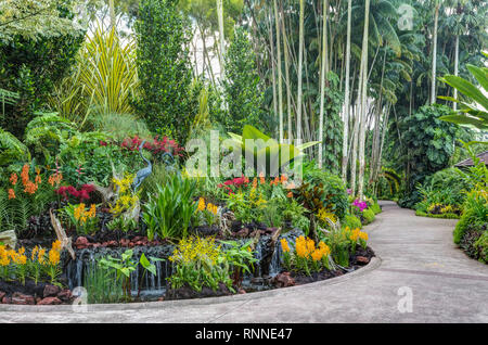 Singapore Botanic Garden, percorso in National Orchid Garden. Foto Stock