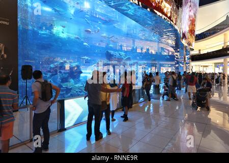 DUBAI, Emirati Arabi Uniti - 22 novembre 2017: gli acquirenti visitare l'Acquario del centro commerciale di Dubai. È il più grande centro commerciale in tutto il mondo per la superficie totale di 502,000 metri quadrati Foto Stock